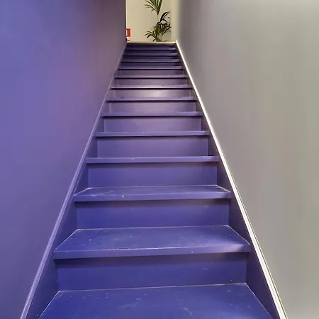 Flat Apartment